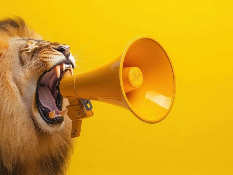 Lion growling at a loudspeaker